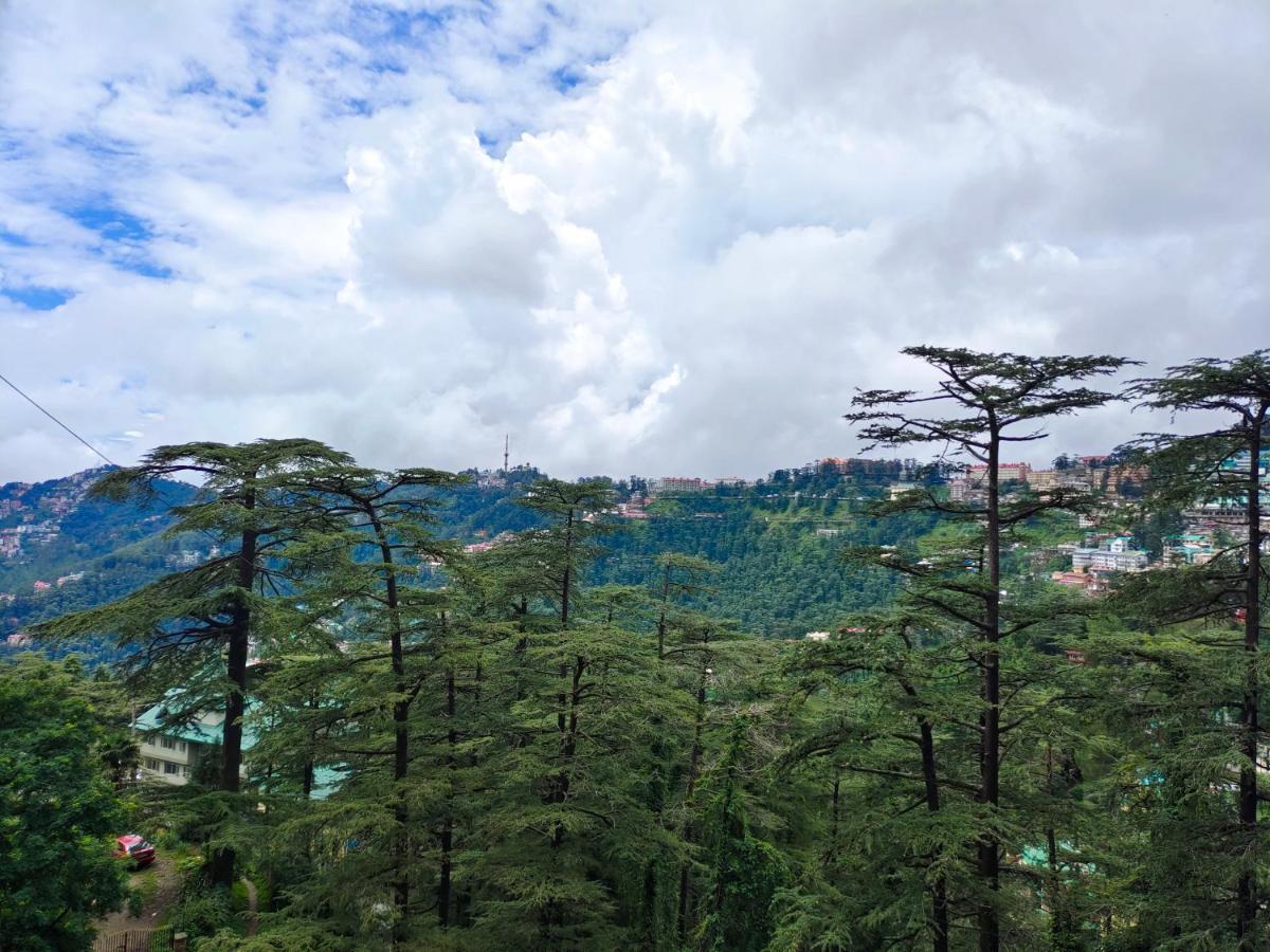 Magic Stays - Shimla Royale - Free Pickup From Railway Station Шимла Экстерьер фото